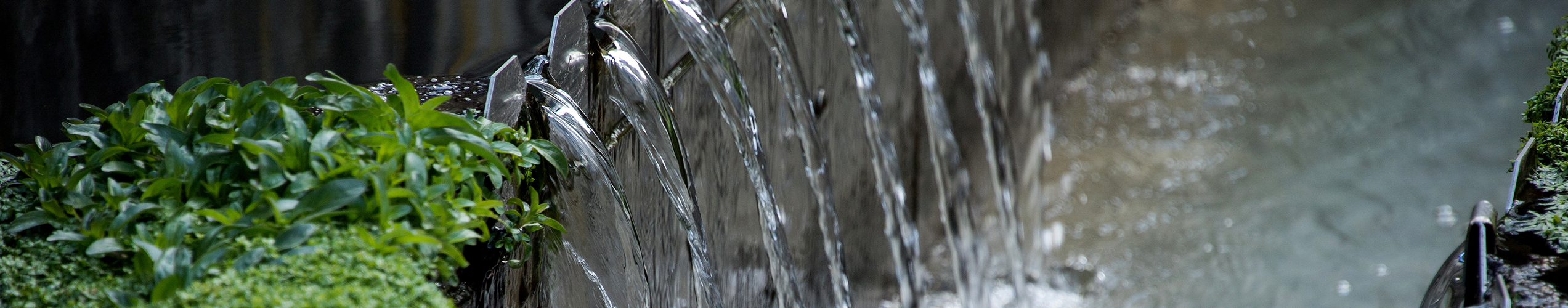 Wasser strömt über eine Kante, daneben dichtes grünes Blattwerk, in einen darunterliegenden ruhigen Teich.